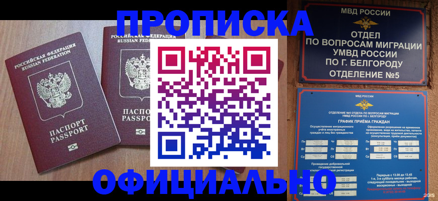 найти адрес прописки в Киселёвске